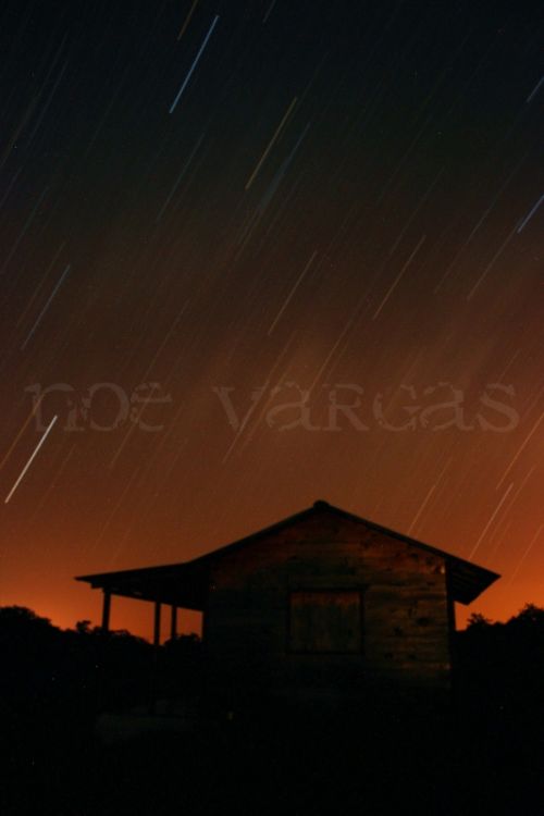 Fotografia de No Vargas - Galeria Fotografica: Naturaleza y vida salvaje - Foto: 30 minutos