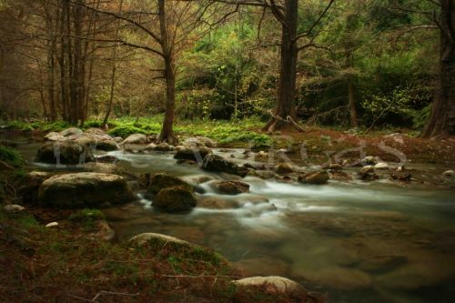 Fotografia de No� Vargas - Galeria Fotografica: Naturaleza y vida salvaje - Foto: La peregrina