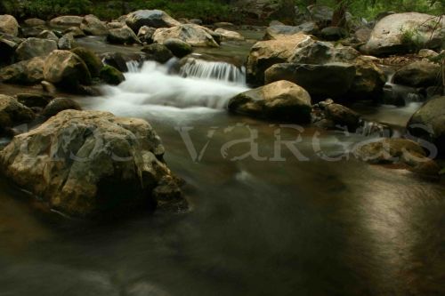 Fotografia de No� Vargas - Galeria Fotografica: Naturaleza y vida salvaje - Foto: 