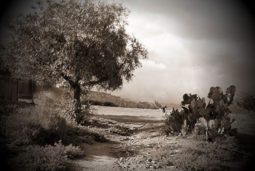 Fotografia de Disdri Fotografa - Galeria Fotografica: Apuntes - Foto: 