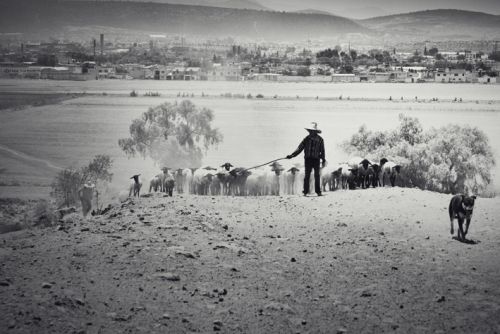 Fotografia de Disdri Fotografa - Galeria Fotografica: Apuntes - Foto: 