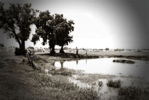 Fotografia de Disdri Fotografa - Galeria Fotografica: Apuntes - Foto: 