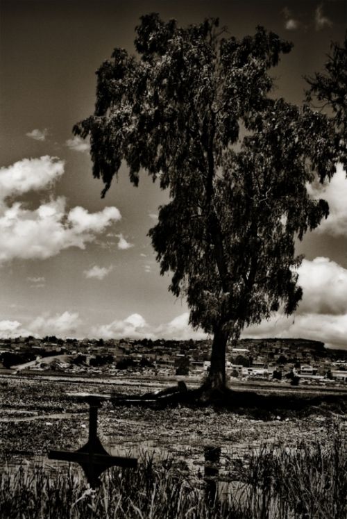 Fotografia de Disd�ri Fotograf�a - Galeria Fotografica: Apuntes - Foto: 