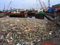 Fotos de bjapix -  Foto: HOPELESSNESS! - garbage in area