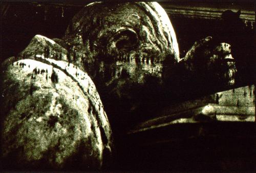 Fotografia de MARIO VEGA - Galeria Fotografica: ABSORCION - Foto: ELLOS