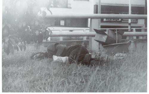 Fotografia de sebastian - Galeria Fotografica: calle - Foto: entre la hierba