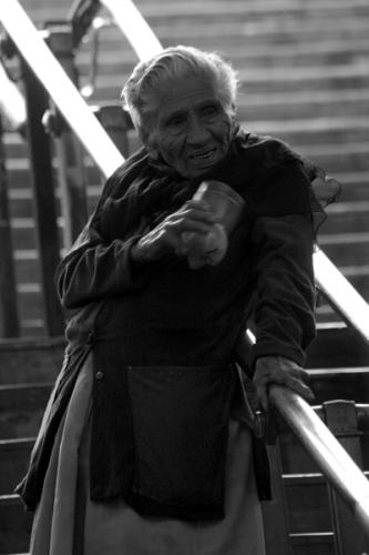 Fotografia de Alejandro Barragn - Galeria Fotografica: Los otros habitantes de mi ciudad - Foto: Sin Ttulo