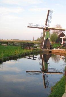 Fotografia de Campanilla - Galeria Fotografica: Trocitos de mundo... - Foto: Molino tpico de Amsterdam