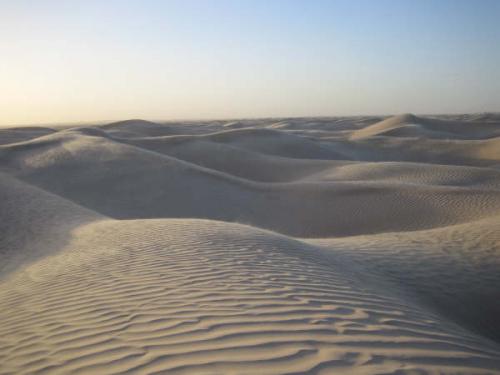 Fotografia de Campanilla - Galeria Fotografica: So�ar... - Foto: Sahara