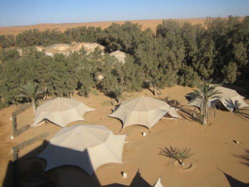 Fotografia de Campanilla - Galeria Fotografica: Soar... - Foto: 