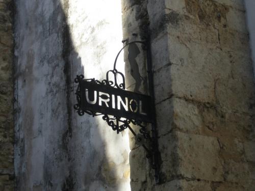 Fotografia de Campanilla - Galeria Fotografica: Soar... - Foto: 