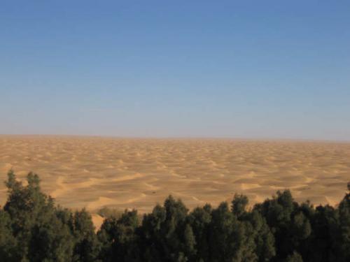 Fotografia de Campanilla - Galeria Fotografica: Soar... - Foto: Sahara