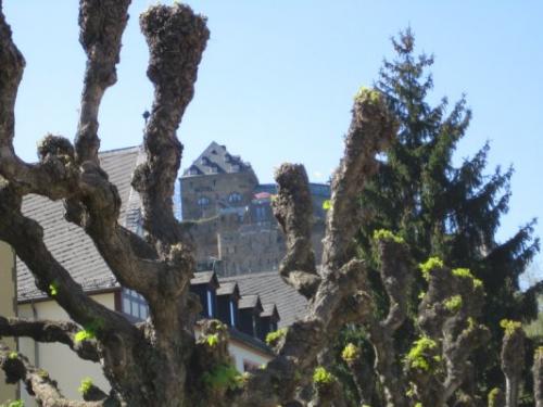 Fotografia de Campanilla - Galeria Fotografica: Trocitos de mundo... - Foto: 