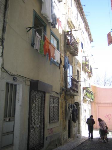 Fotografia de Campanilla - Galeria Fotografica: Trocitos de mundo... - Foto: 