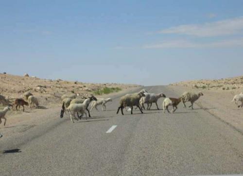 Fotografia de Campanilla - Galeria Fotografica: So�ar... - Foto: Tunez