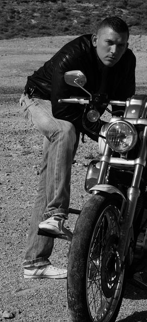 Fotografia de Atheris - Galeria Fotografica: book HD - Foto: 