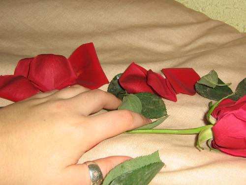 Fotografia de Dark_Angel88 - Galeria Fotografica: Tiempo al tiempo - Foto: Eleccin