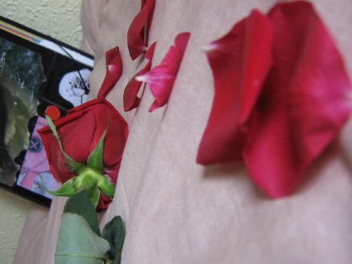 Fotografia de Dark_Angel88 - Galeria Fotografica: Tiempo al tiempo - Foto: Love