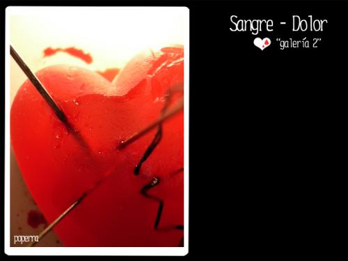 Fotografia de Sandra Vila - Galeria Fotografica: Sangre y dolor - A mesa puesta - Alicia en el pas de las pastillas - Foto: 