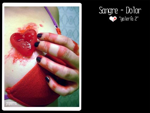 Fotografia de Sandra Vila - Galeria Fotografica: Sangre y dolor - A mesa puesta - Alicia en el pas de las pastillas - Foto: 