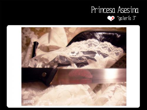 Fotografia de Sandra Vila - Galeria Fotografica: Princesa asesina - Lloran mis muecas - La Vie en rose - Foto: 