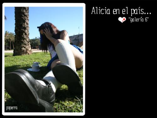 Fotografia de Sandra Vila - Galeria Fotografica: Sangre y dolor - A mesa puesta - Alicia en el pas de las pastillas - Foto: 