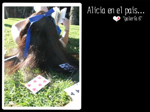 Fotografia de Sandra Vila - Galeria Fotografica: Sangre y dolor - A mesa puesta - Alicia en el pas de las pastillas - Foto: 