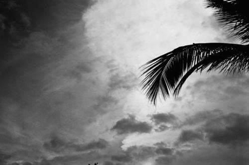 Fotografia de levi - Galeria Fotografica: iglesias - Foto: 