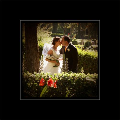 Fotografia de DELIA   FOTOGRAFOS - Galeria Fotografica: BODAS - Foto: HAGAMOS LA PAZ