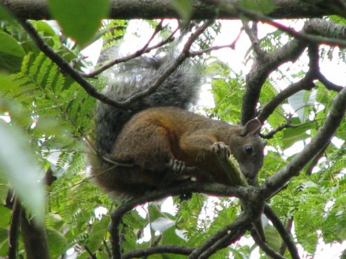 Fotografia de Graphix - Galeria Fotografica: Madre naturaleza - Foto: 