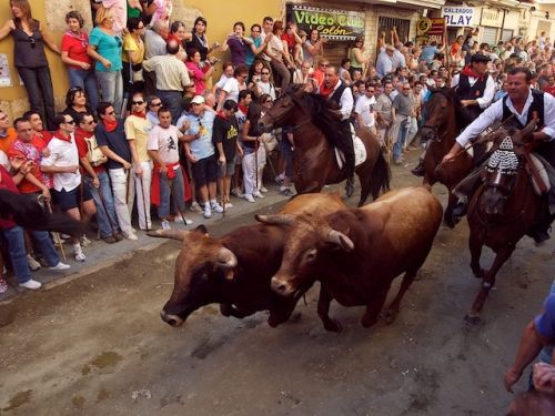 Fotografia de Daniel Belenguer - Galeria Fotografica: Fotografa de eventos y fiestas en Valencia - Foto: 