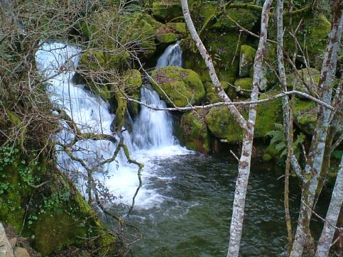 Fotografia de patricia - Galeria Fotografica: cascada - Foto: cascada