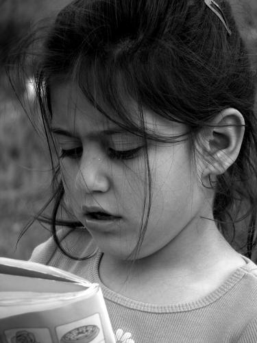 Fotografia de ACF - Galeria Fotografica: ELLA - Foto: ELLA_14