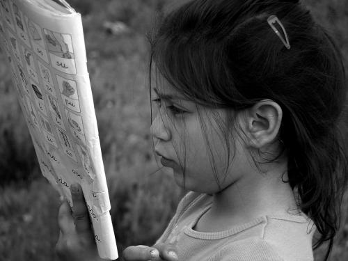 Fotografia de ACF - Galeria Fotografica: ELLA - Foto: ELLA_15