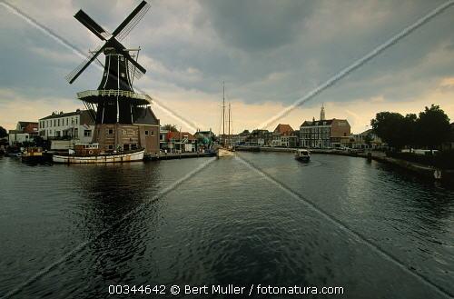 Fotografia de cesar - Galeria Fotografica: Album Fotografico - Foto: Molino