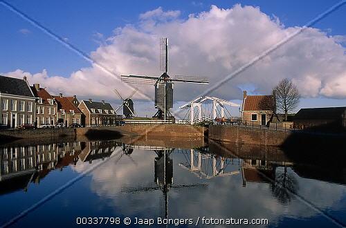 Fotografia de cesar - Galeria Fotografica: Album Fotografico - Foto: Molino2