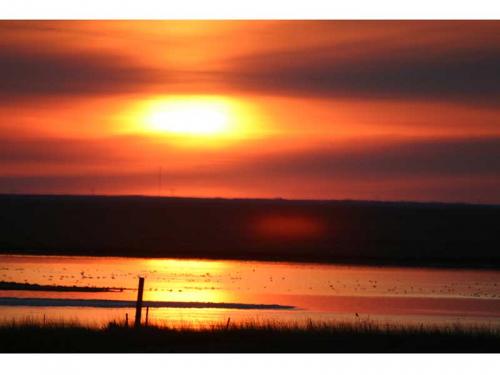 Fotografia de cesar - Galeria Fotografica: Album Fotografico - Foto: Puesta de sol