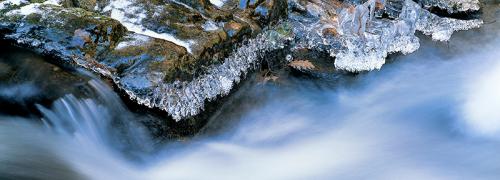 Fotografia de Javier Snchez Martnez - Galeria Fotografica: AGUAS ARRIBA - Foto: CANENCIA