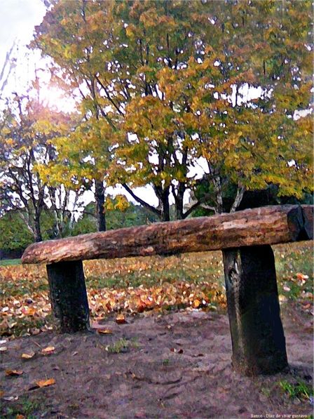 Fotografia de diaz de vivar gustavo - Galeria Fotografica: infancia de un mago - Foto: 