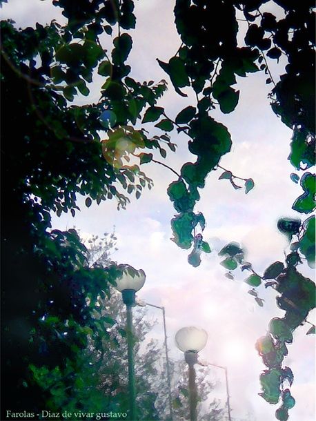 Fotografia de diaz de vivar gustavo - Galeria Fotografica: infancia de un mago - Foto: 