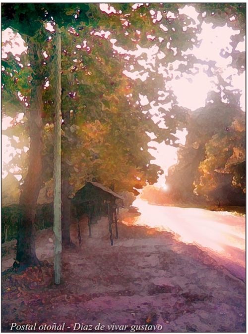 Fotografia de diaz de vivar gustavo - Galeria Fotografica: infancia de un mago - Foto: 