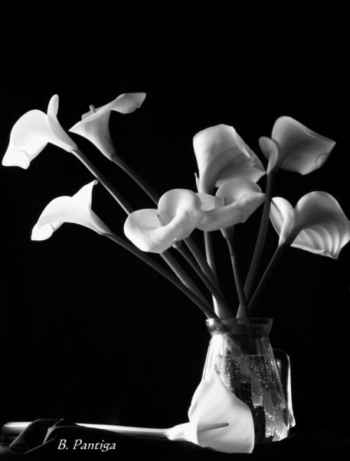 Fotografia de BEA PANTIGA - Galeria Fotografica: BODEGONES - Foto: 