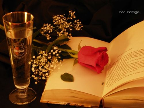 Fotografia de BEA PANTIGA - Galeria Fotografica: BODEGONES - Foto: 