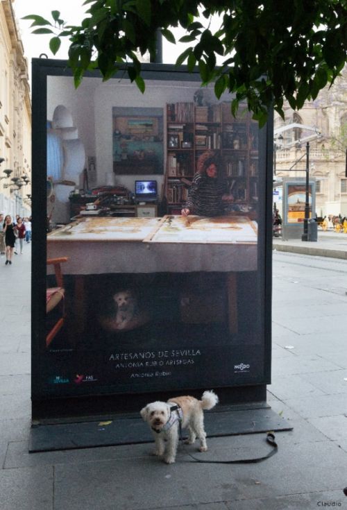 Fotografia de Claudio del Campo - Galeria Fotografica: Exposicion sobre artesanos de Sevilla - Foto: Antonia Rubio