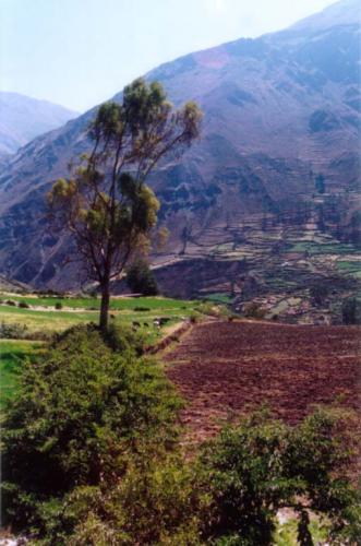 Fotografia de IMAGENES - Galeria Fotografica: Paisajes y Panoramicas - Foto: Canta, provincia de Lima