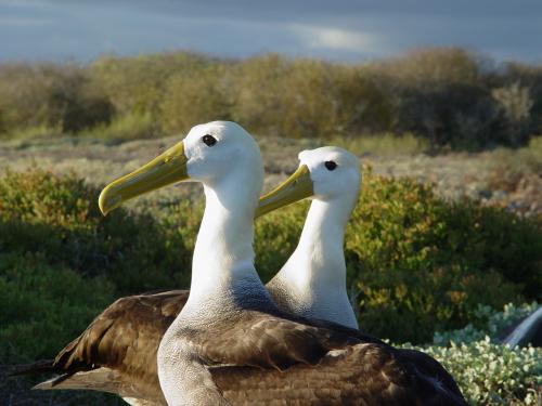 Fotografia de Miguel Depolo - Galeria Fotografica: EVOLUCION - Foto: Luz ideal