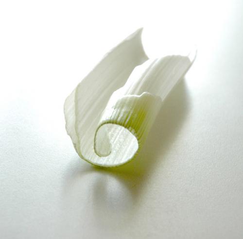 Fotografia de Virgilio - Galeria Fotografica: Vir - Foto: Puerro