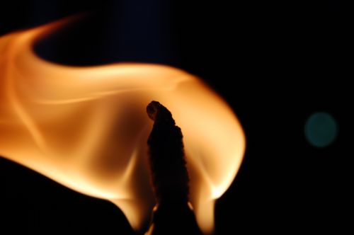 Fotografia de adri - Galeria Fotografica: dolce favillar - Foto: 