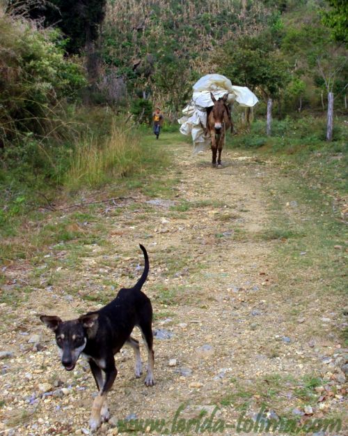 Fotografia de DACO - Galeria Fotografica: Puro Pueblo - Foto: 