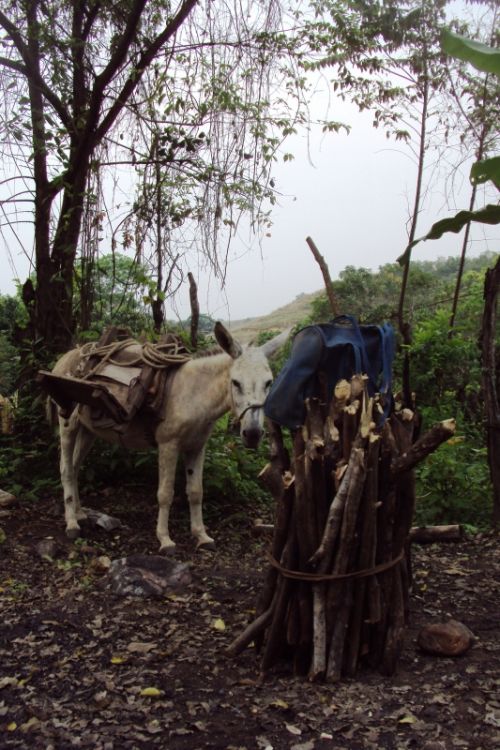 Fotografia de DACO - Galeria Fotografica: Puro Pueblo - Foto: 
